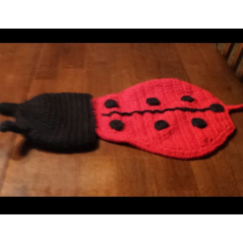 Lady Bug 1 piece newborn girl photo prop 0-3 months
